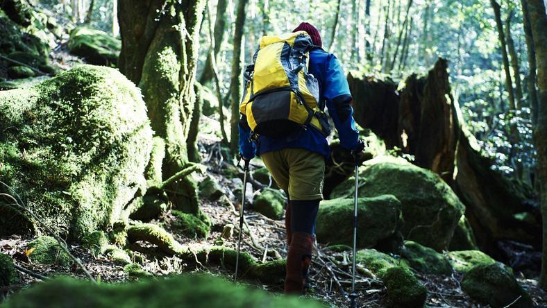 如何做到知行合一